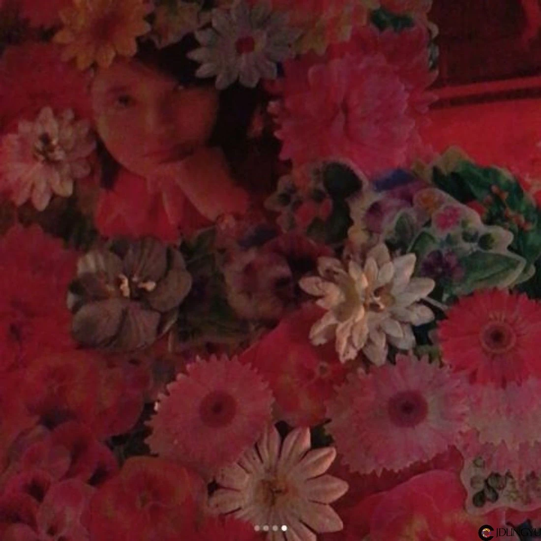 出道14年只对他认爱!盘点IU历年6任绯闻男友,李准基、金秀贤都擦出火花!