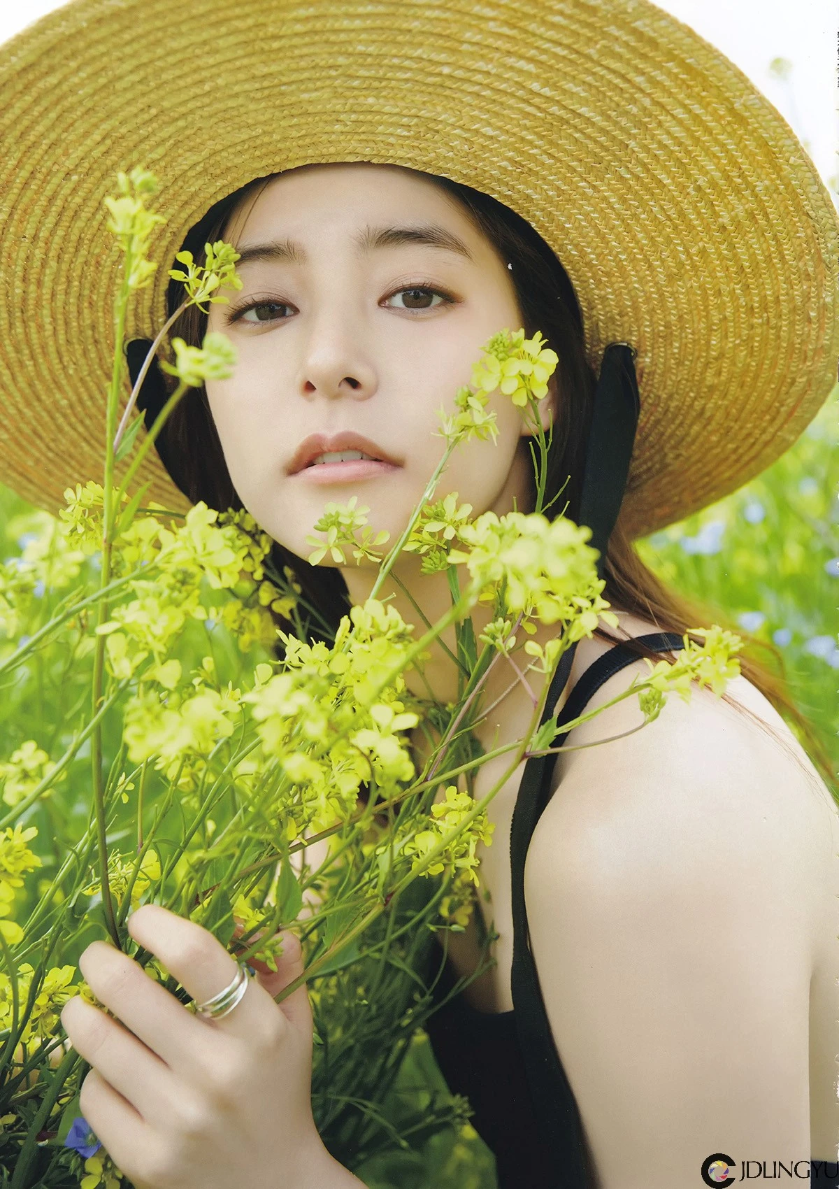 [新木优子] honey写真集