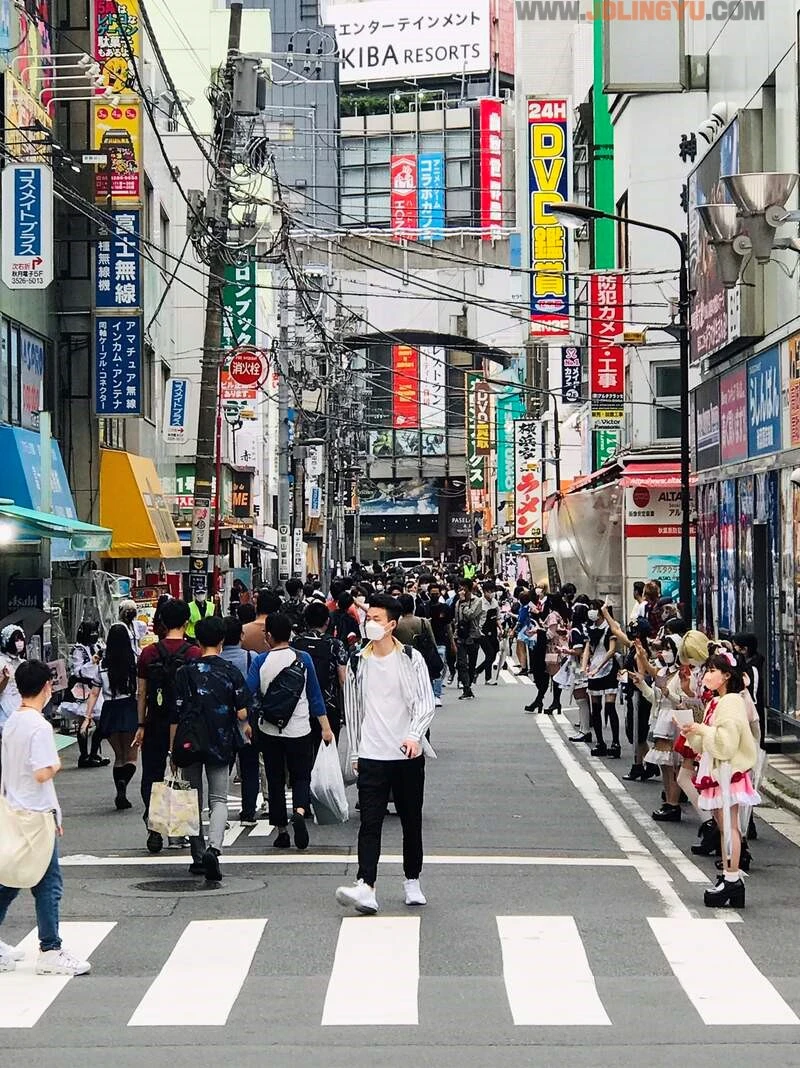 《秋叶原傻眼拉客乱象》每三步站一个性感女仆 网友质疑这么夸张竟然无法管?