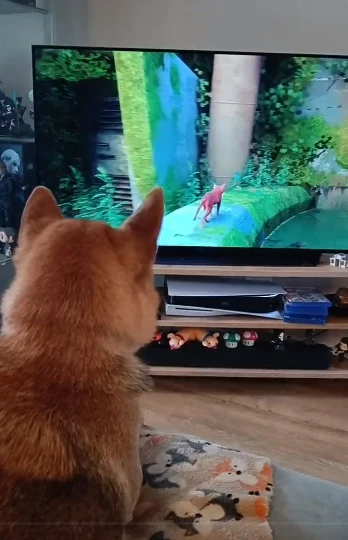 超逼真流浪猫探险游戏《Stray》爆红!引起家中猫咪连锁反应超有趣!