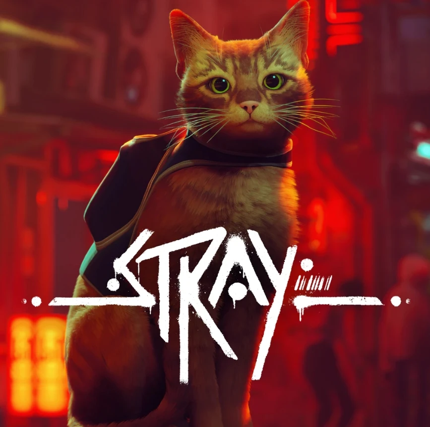 超逼真流浪猫探险游戏《Stray》爆红!引起家中猫咪连锁反应超有趣!