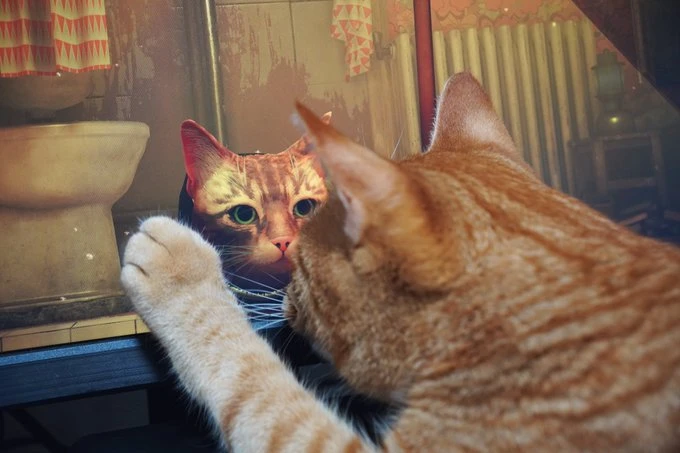 超逼真流浪猫探险游戏《Stray》爆红!引起家中猫咪连锁反应超有趣!