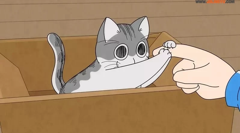 2022年夏正式推出《与猫共度的夜晚 动画化》咕噜加的萌猫魅力太可爱，我一下就成为了猫奴惹