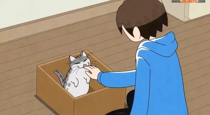 2022年夏正式推出《与猫共度的夜晚 动画化》咕噜加的萌猫魅力太可爱，我一下就成为了猫奴惹