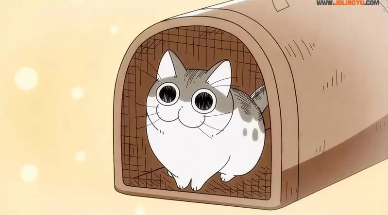 2022年夏正式推出《与猫共度的夜晚 动画化》咕噜加的萌猫魅力太可爱，我一下就成为了猫奴惹