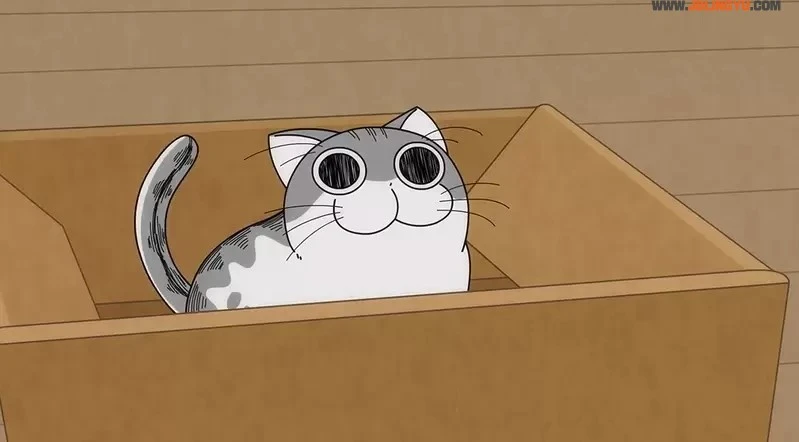 2022年夏正式推出《与猫共度的夜晚 动画化》咕噜加的萌猫魅力太可爱，我一下就成为了猫奴惹