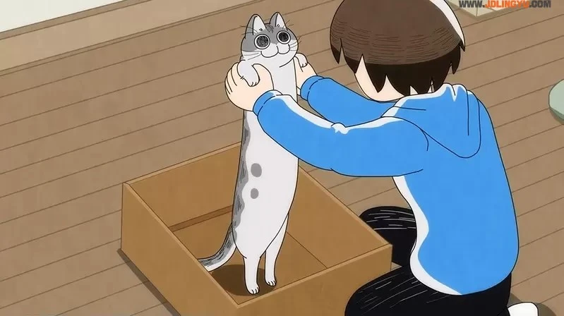 2022年夏正式推出《与猫共度的夜晚 动画化》咕噜加的萌猫魅力太可爱，我一下就成为了猫奴惹