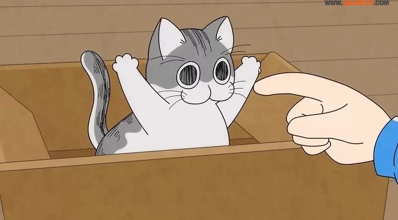 2022年夏正式推出《与猫共度的夜晚 动画化》咕噜加的萌猫魅力太可爱，我一下就成为了猫奴惹