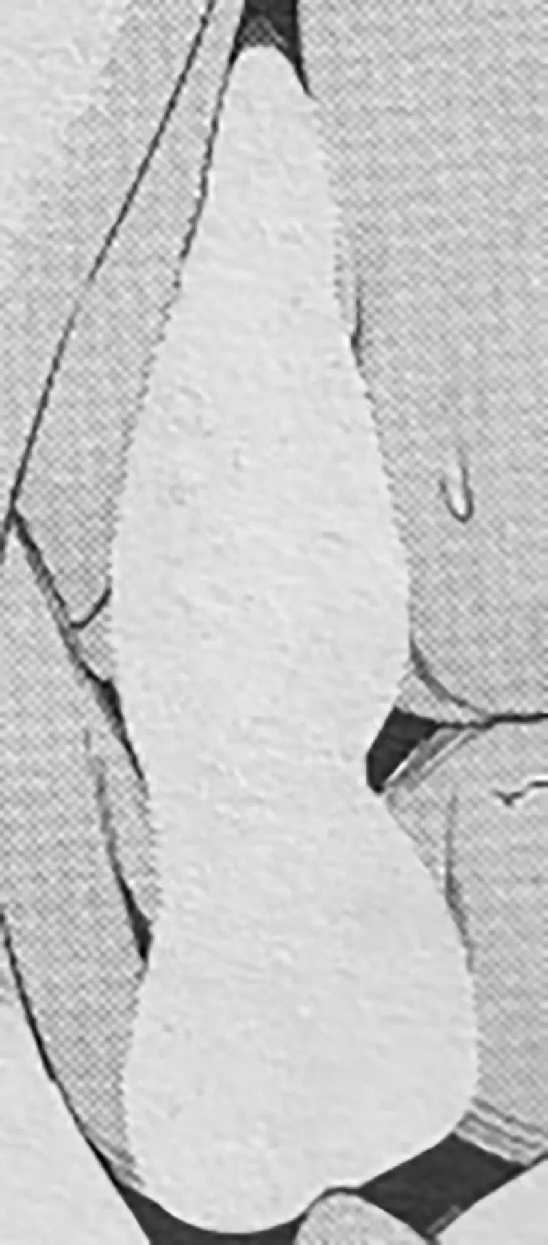 《最新18禁漫画修正规范》性器官贴黑海苔已经被淘汰？现在几乎都是整个涂白了