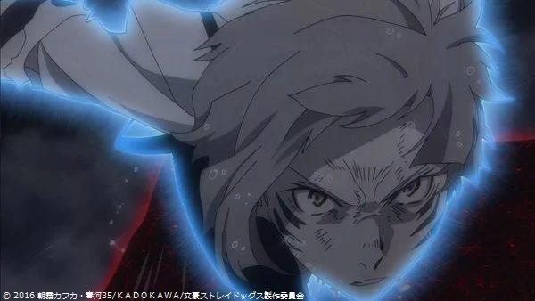 【动漫排行】说到「兽耳」会想到的角色是？