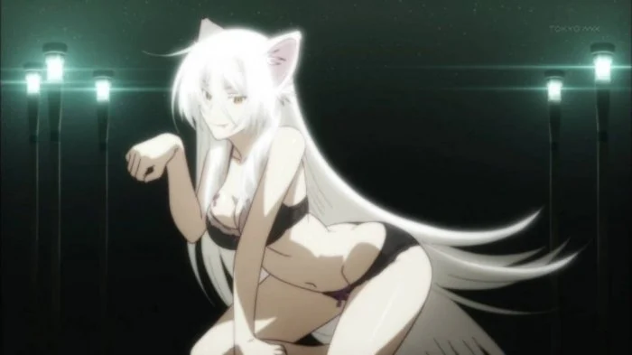 【动漫排行】说到「兽耳」会想到的角色是？