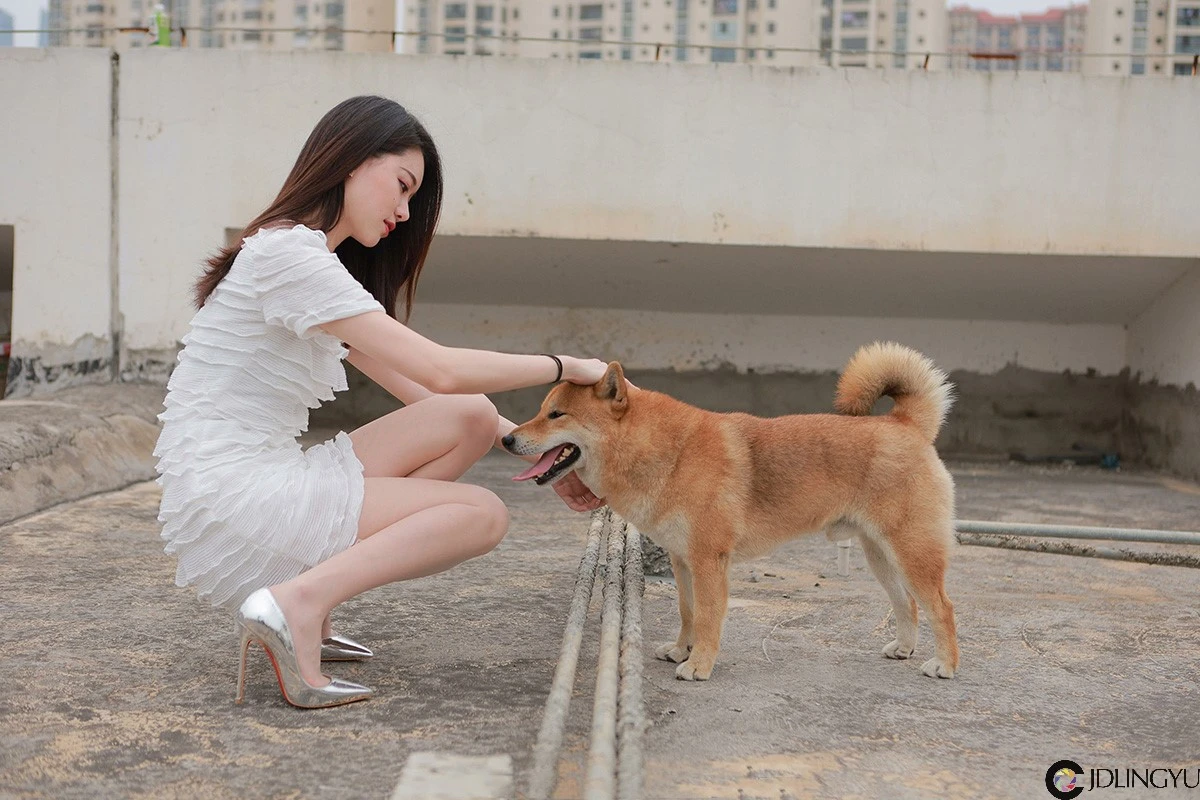 [IESS异思趣向] 模特：佳爷《12月女神佳爷》