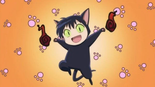 【动漫排行】说到「兽耳」会想到的角色是？