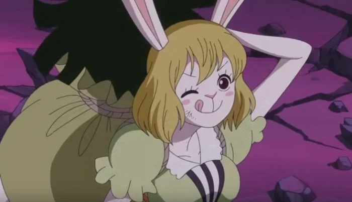 【动漫排行】说到「兽耳」会想到的角色是？