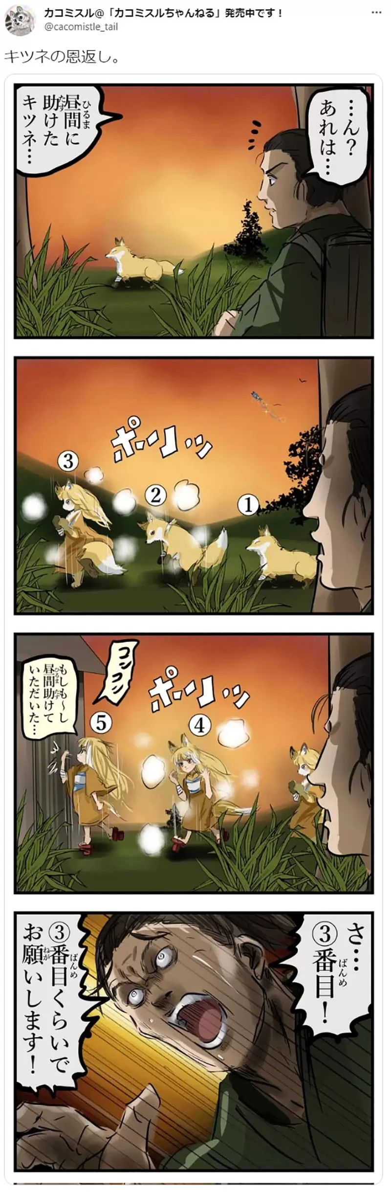 《哪个阶段的兽娘最可爱》从狐狸报恩看出兽控癖好 1号到5号你会选择哪个阶段?