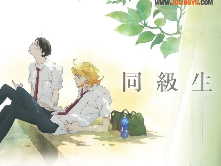 虐恋、甜蜜、暧昧各种CP一次满足！近年必看BL动画5部推荐