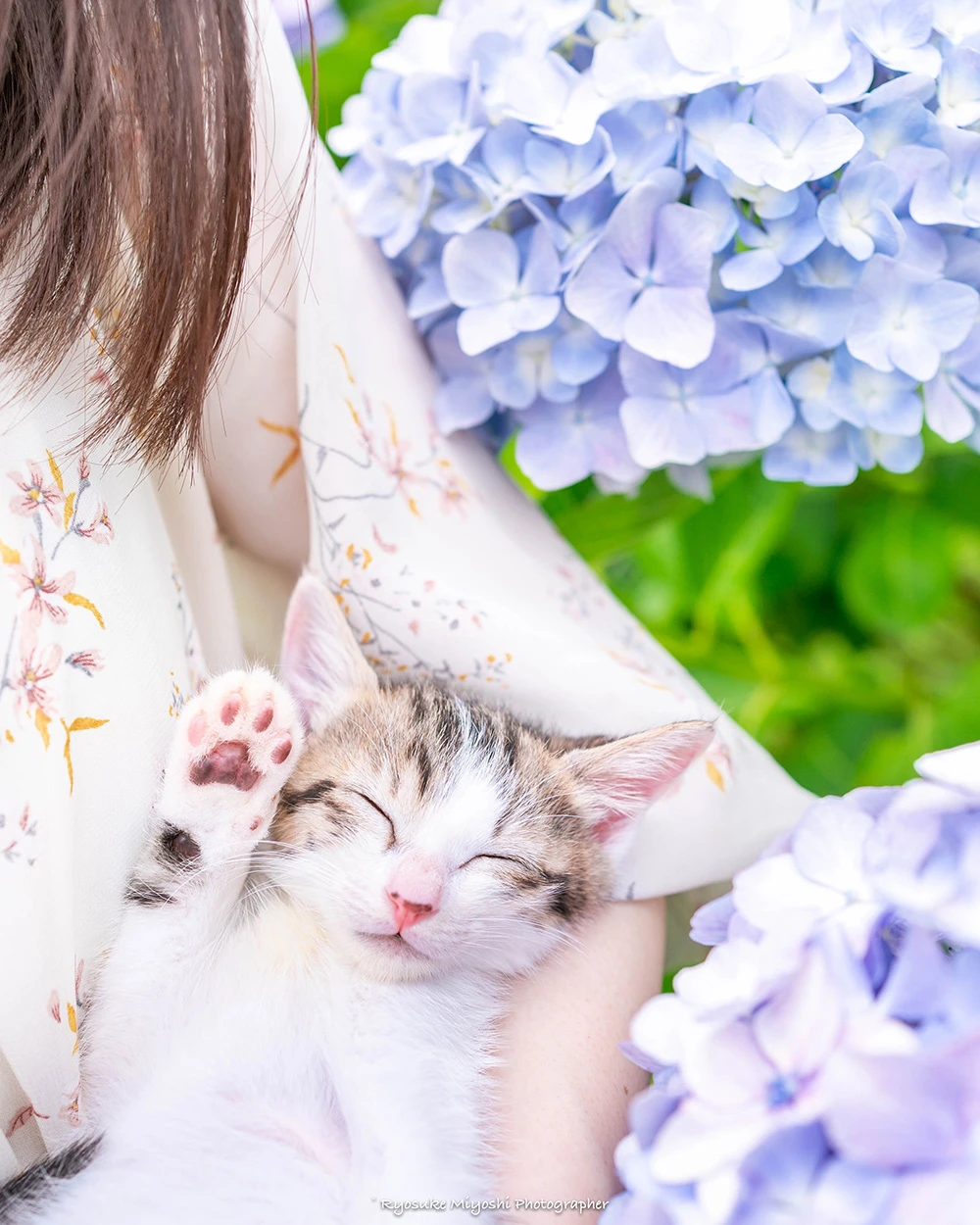 来看你拍了什么！《猫咪兼当摄影助理》踮起脚尖检查照片成果