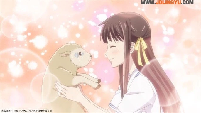 不只后宫之乌!盘点12部后宫番&逆后宫番|《出租女友、樱兰高校男公关部》经典必追!