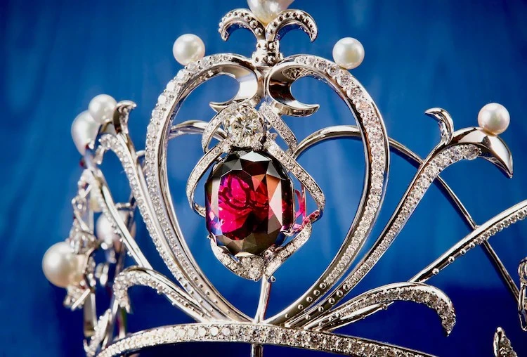 要价1亿日元《凡尔赛玫瑰》玛莉皇后冠冕开放贩售