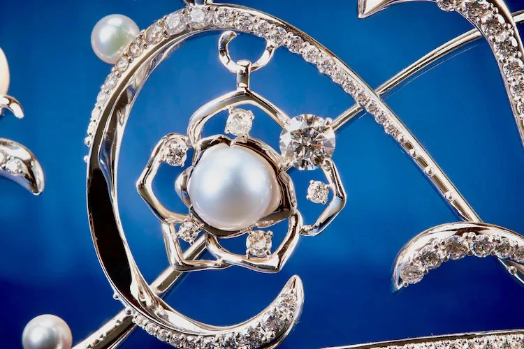 要价1亿日元《凡尔赛玫瑰》玛莉皇后冠冕开放贩售