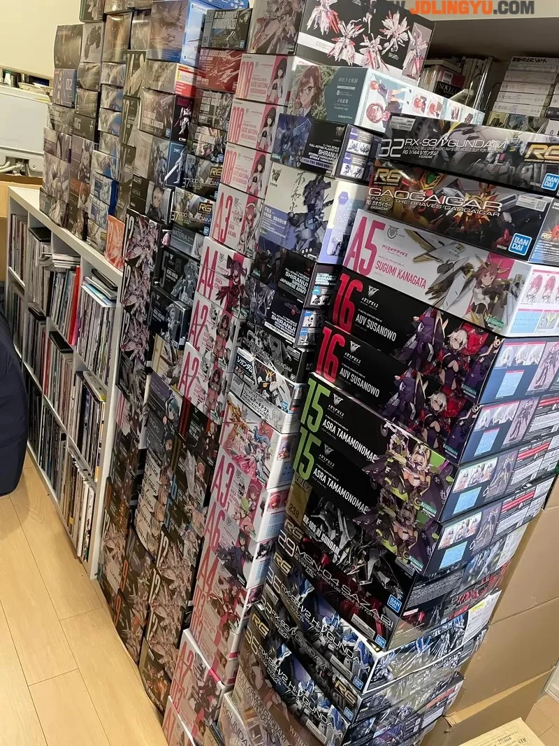 《宅宅被搬家公司拒绝了》单身为什么不能请单身搬家?满屋子的收藏品超棘手……