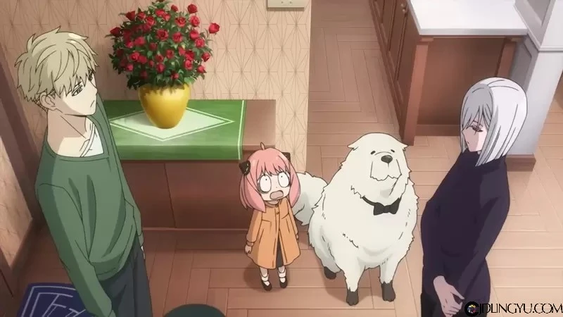 约儿新情敌《SPY×FAMILY 间谍过家家》全新角色「费欧娜」将于动画第21集登场