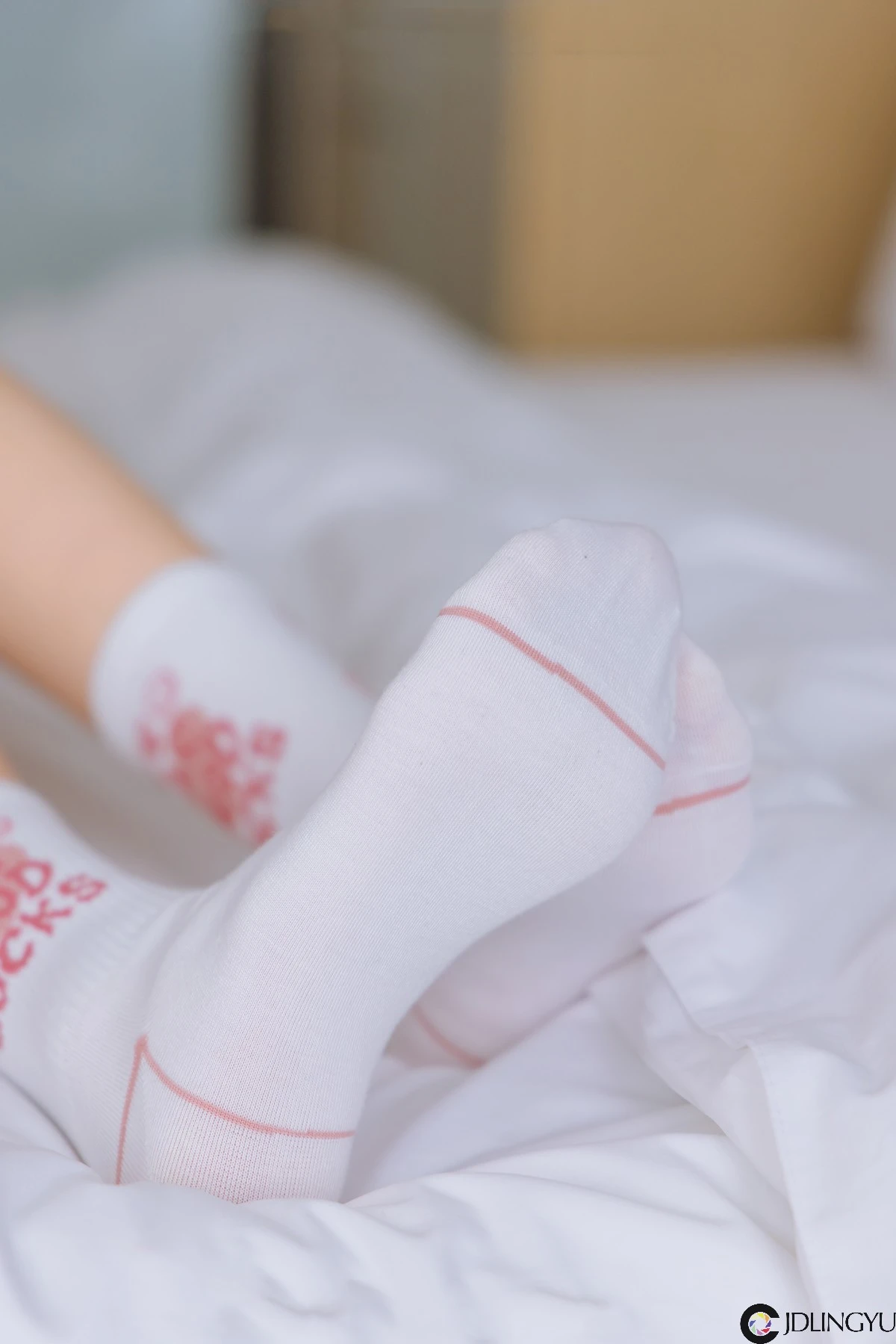 [BoBoSocks袜啵啵] No.143 稚予-匡威板鞋、vans帆布鞋、两双白棉袜