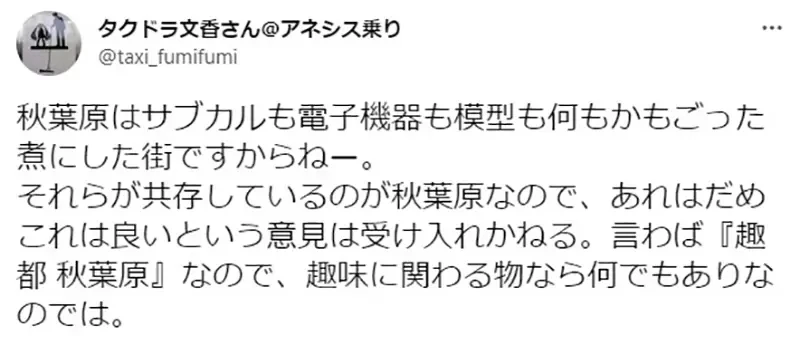 《讨厌次文化入侵秋叶原的人》动漫、女仆和偶像闪边去?怀念以前充满电子零组件的时代