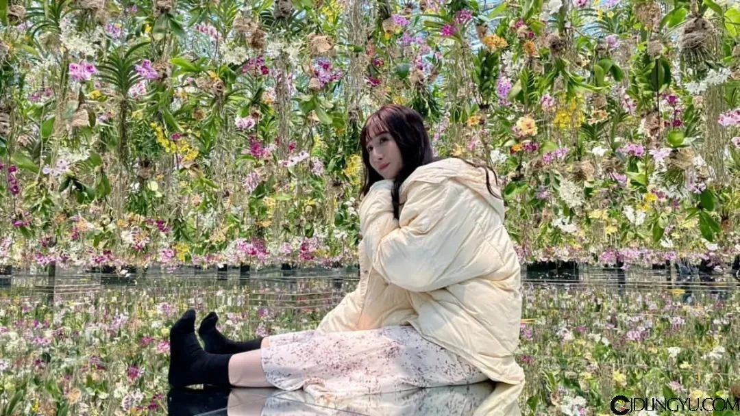 盘点今年已经引退或者计划引退的十几位女友插图