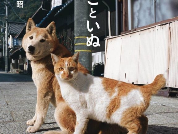 「日本写真集排行TOP10」,谁说写真集只能看美女?