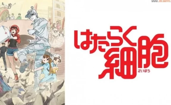 看了后能振奋工作的职业动画排行～