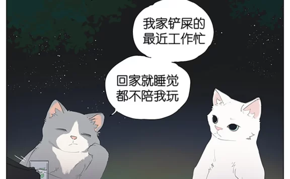 【短漫】主人工作回家关灯就睡,寂寞的猫咪外出寻找夜生活?